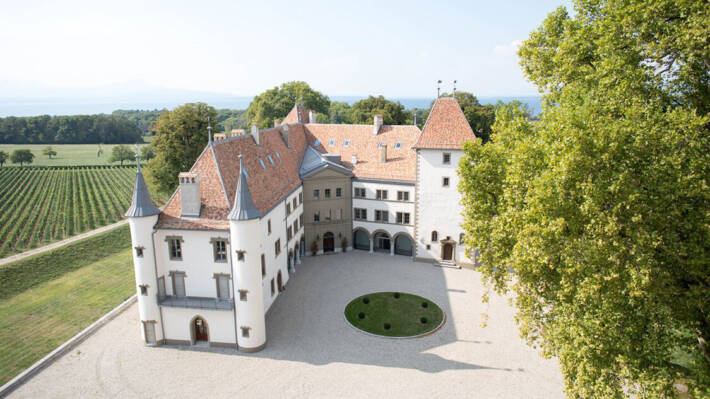 Weingut Schenk